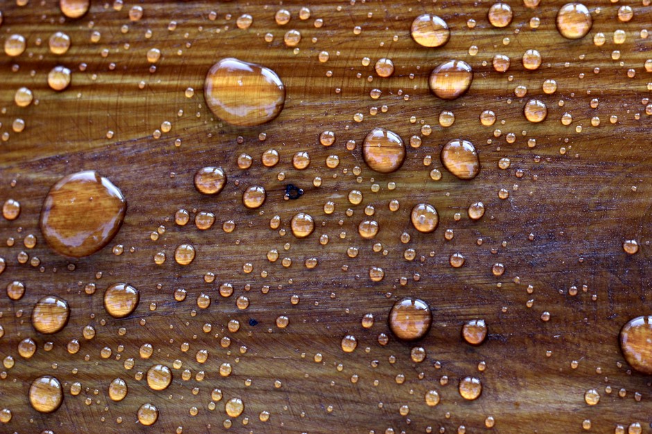 Какая древесина не гниет в воде